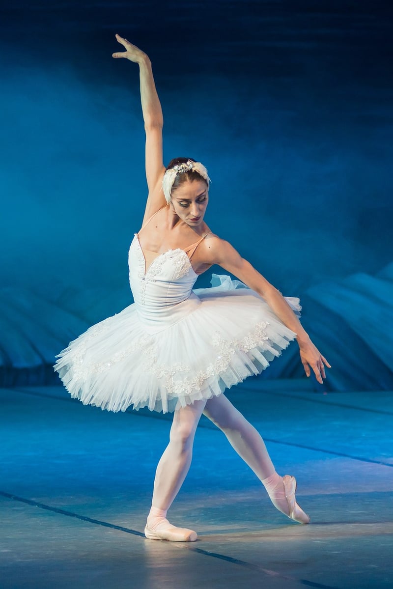 Barre Fusion Dancer